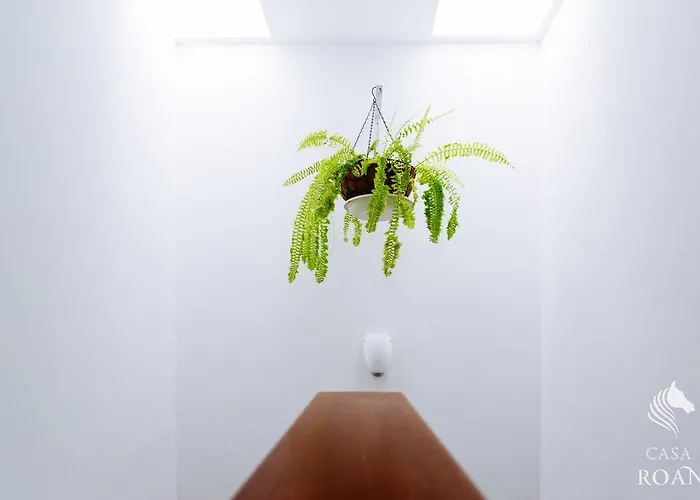 Casa Roan Сasa de vacaciones *